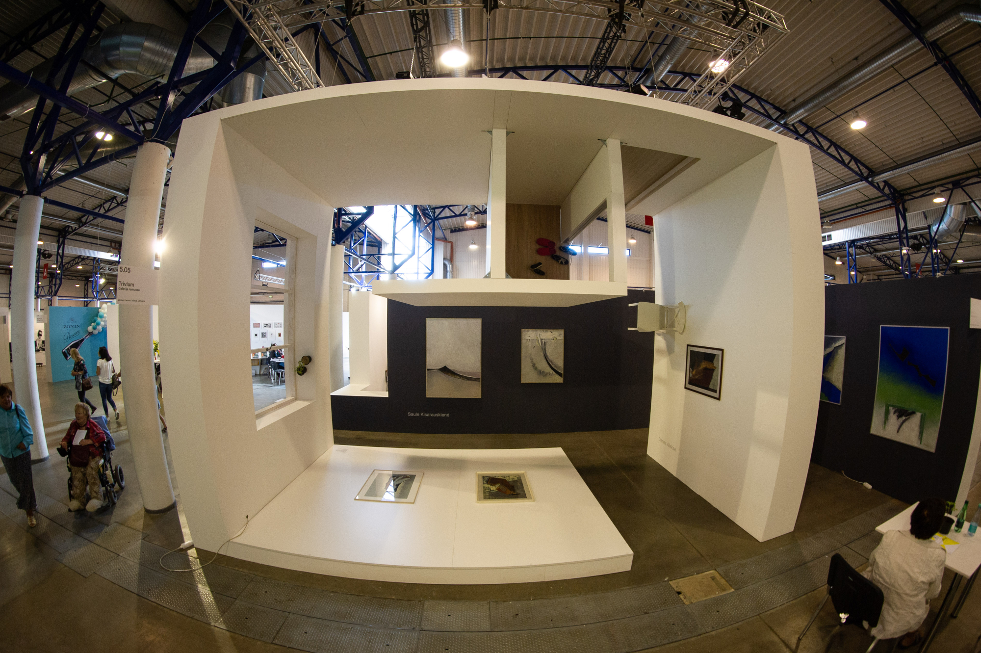 2018-06-08 16-52-52 author Rytis Seskaitis